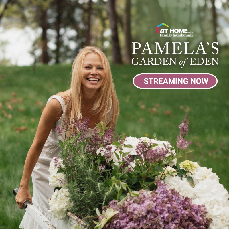 Pamela's Garden of Eden